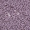 11/0 Grade A Glass Seed Beads SEED-S030-1008-2