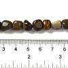 Natural Petrified Wood Beads Strands G-B078-D18-01-5