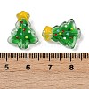 Transparent Glass Enamel Beads LAMP-S070-05F-4