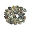 Natural Rhyolite Jasper Beads Strands G-NH0004-011-3