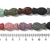 Fish Dyed Natural Lava Rock Beads Strands G-O126-01A-14-4