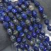 Natural Lapis Lazuli Beads Strands G-K389-D21-01-2