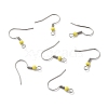 Tarnish Resistant 316 Surgical Stainless Steel Earring Hooks STAS-E044-01P-03-1