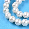 Natural Cultured Freshwater Pearl Beads Strands PEAR-N016-03D-4