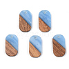 Opaque Resin & Walnut Wood Pendants RESI-S389-023A-C-2