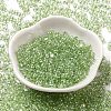 Baking Glass Seed Beads SEED-K009-07A-06-2