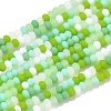 Faceted Glass Beads Strands X-GLAA-F106-B-F05-1