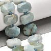 Natural Flower Amazonite Beads Strands G-H078-B09-01-2