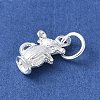 925 Sterling Silver 3D Chinese Zodiac Charms STER-P066-01S-01-2