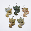 Natural Indian Agate Pendants G-T122-17C-1