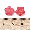 Transparent Glass Beads DGLA-E004-12G-3