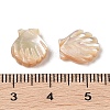 Natural Trochus Shell Carved Beads SHEL-P017-08A-3