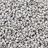 MIYUKI Delica Beads LS-X-SEED-J020-DB2320-2