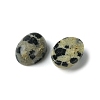 Natural Dalmatian Jasper Cabochons G-A094-01B-51-2