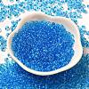 Transparent Colours Glass Seed Beads SEED-P006-02A-08-2