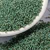 MIYUKI Round Rocailles Beads SEED-JP0010-RR0374-1