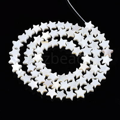 Natural Freshwater Shell Beads Strands SHEL-Q024-018-1