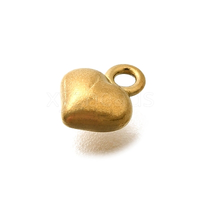 304 Stainless Steel Charms LS-STAS-D310-06G-03-1