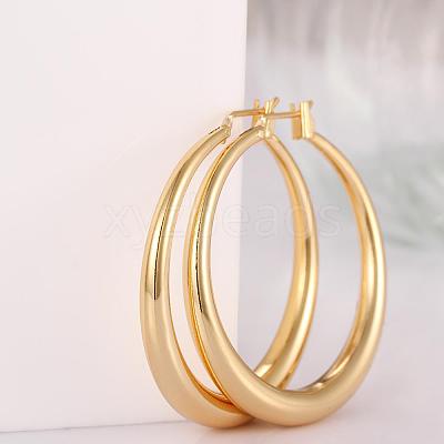 Adorable Design Ring Brass Hoop Earrings EJEW-BB07351-G-1