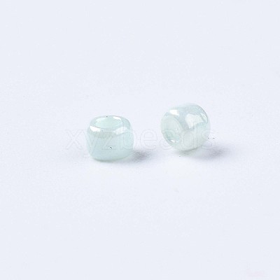 12/0 Glass Seed Beads SEED-S060-A-973-1