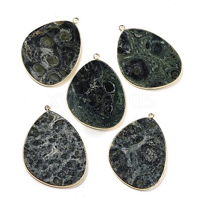 Natural Kambaba Jasper Pendants G-K347-02G-01-1