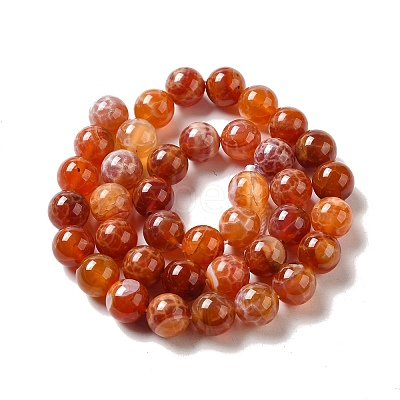 Natural Fire Crackle Agate Beads Strands G-G212-10mm-10-1