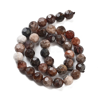Natural Petrified Wood Beads Strands G-C150-B01-02-1