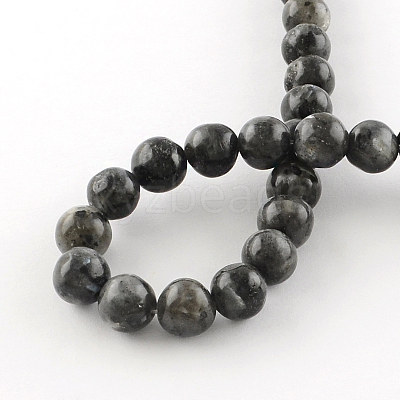 Natural Larvikite Round Beads Strands G-R342-10mm-09-1