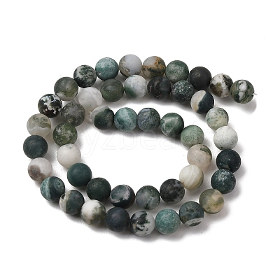 Natural Tree Agate Beads Strands X-G-T106-038-1