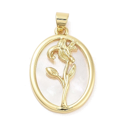 Rack Plating Brass Pave Shell Pendants KK-Z064-28G-03-1