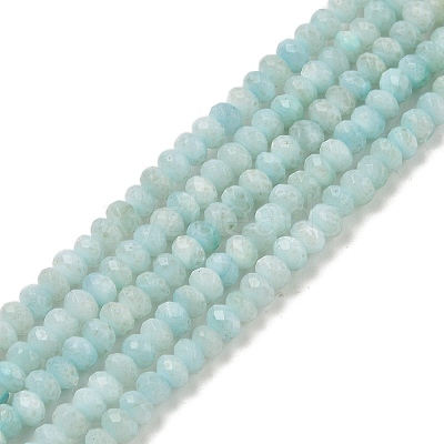 Natural Freshwater Shell Dyed Beads Strands SHEL-R100-13A-02-1
