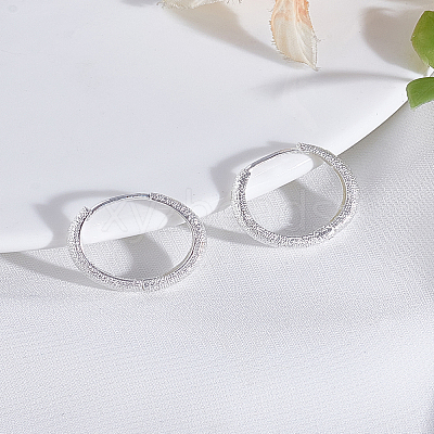 1Pair Alloy Hoop Earrings EJEW-LP0008-033-1