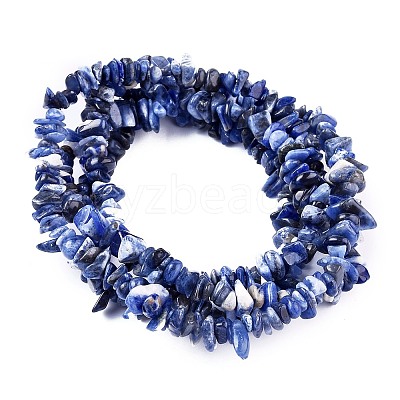 Natural Sodalite Chips Beads Strands X-F024-1
