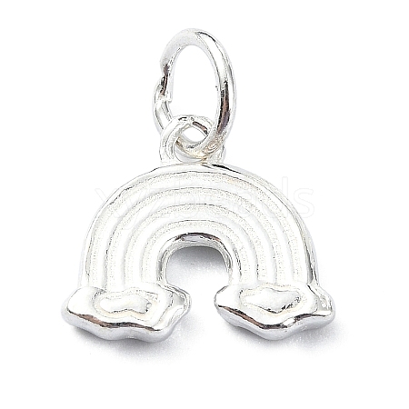 925 Sterling Silver Charms STER-M119-08S-1