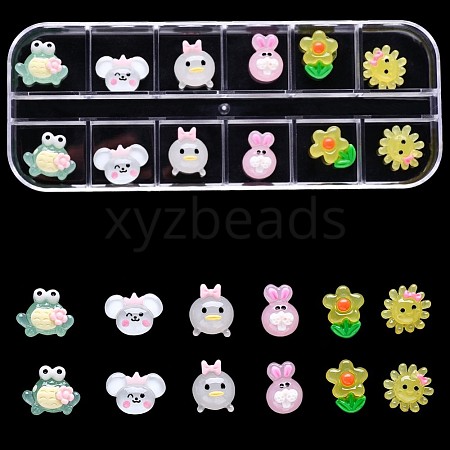 Resin Nail Cabochons with 12 Grid Box MRMJ-S043-055T-1