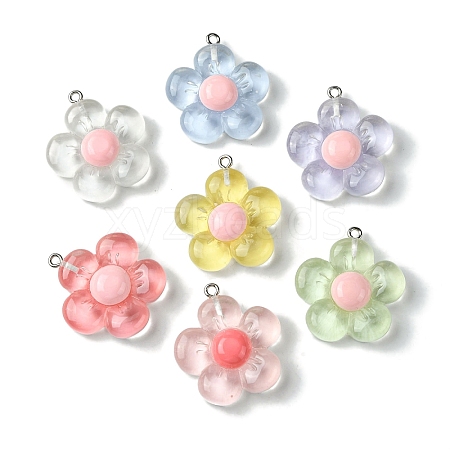 Translucent Resin Pendants X-RESI-P039-01P-1