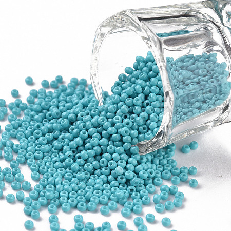 11/0 Grade A Baking Paint Glass Seed Beads X-SEED-N001-A-1016-1