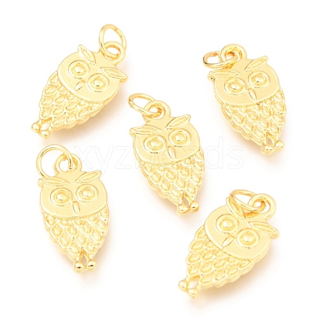 Alloy Pendants PALLOY-B024-27G-1