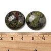 Natural Dragon Blood Cabochons G-C115-02A-11-3