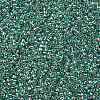 TOHO Round Seed Beads X-SEED-TR11-0264-2