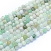 Natural Myanmar Jade/Burmese Jade Beads Strands G-I279-E07-1