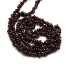 Natural Garnet Beads Strands X-G-P035-18-3