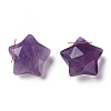 Natural Amethyst Charms G-H241-04D-2