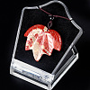 Natural Red Jasper Pendants Necklaces PW-WG25252-06-1