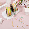 2 Rolls 2 Colors Segment Dyed Round Polyester Twisted Cords OCOR-TA0003-65A-7