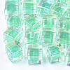 Transparent Acrylic Beads TACR-S148-08B-1