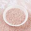 MIYUKI Round Rocailles Beads SEED-X0055-RR0365-2