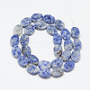 Natural Blue Spot Jasper Beads Strands G-T122-04M-2