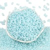 Baking Paint Glass Seed Beads SEED-L011-09A-08-2