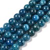 Round Natural Apatite Beads Strands G-K068-04-10mm-1